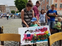 Zdjęcie: Piknik organizacji pozarządowych na leszczyńskim rynku