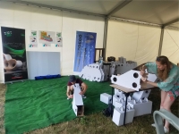 Zdjęcie: Piknik naukowy w Inkubatorze Przedsiębiorczości czyli papierowe konstrukcje szynowe